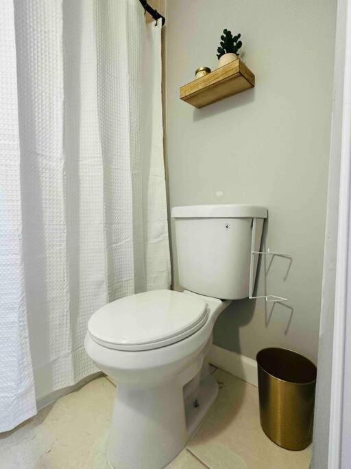 Coral Gables Miami Studio Near Airport And Beaches Eksteriør billede