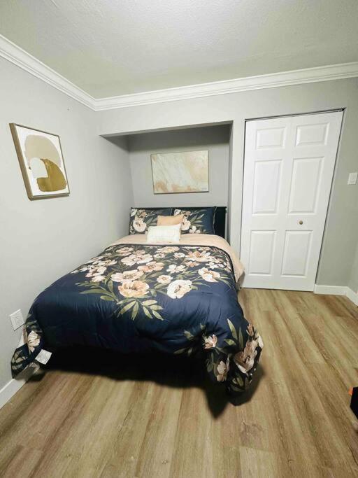 Coral Gables Miami Studio Near Airport And Beaches Eksteriør billede