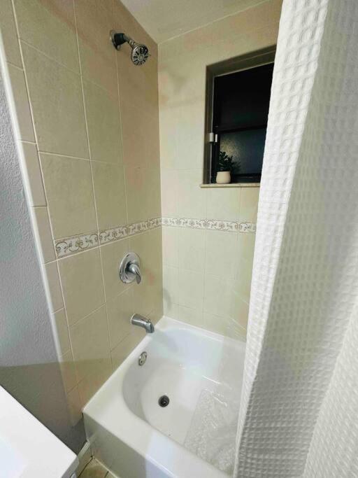 Coral Gables Miami Studio Near Airport And Beaches Eksteriør billede